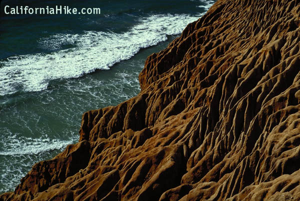 Torrey Pines Cliffs