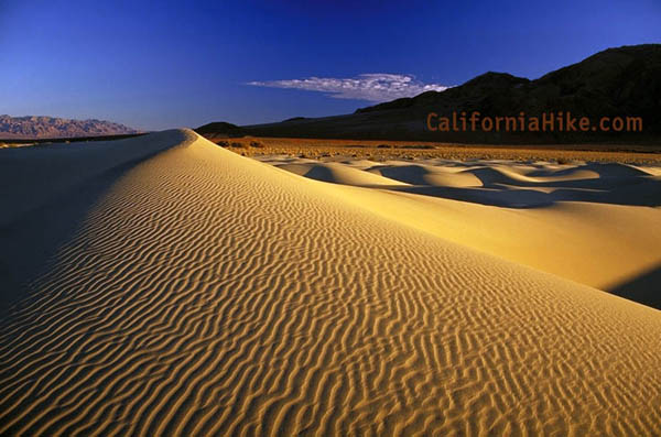 Mesquite Flat Dunes near Stovepipe Wells, Death Valley