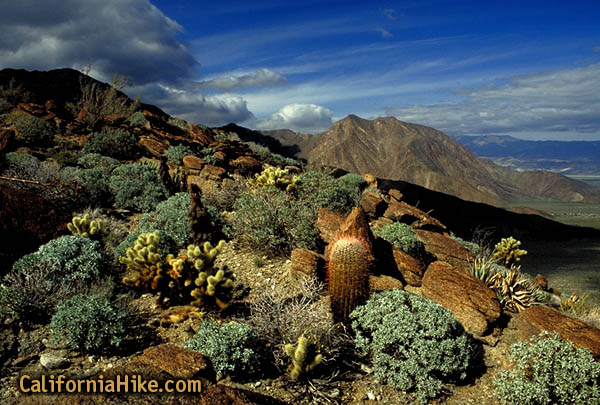 Anza Borego Desert