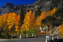 Below the dam at Lake Sabrina