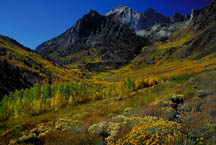 Lower McGee Canyon
