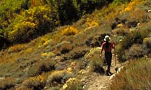 Trail near John Muir Wildernes boundry. McGee Canyon