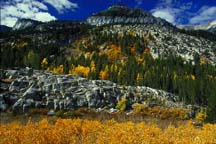 Color Explosion in Upper McGee Canyon