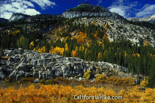 A hiker amongst the aspens of McGee Canyon