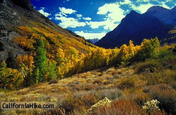 McGee Canyon- John Muir Wilderness, and Eastern Sierra,  near Lake Crowley, CA