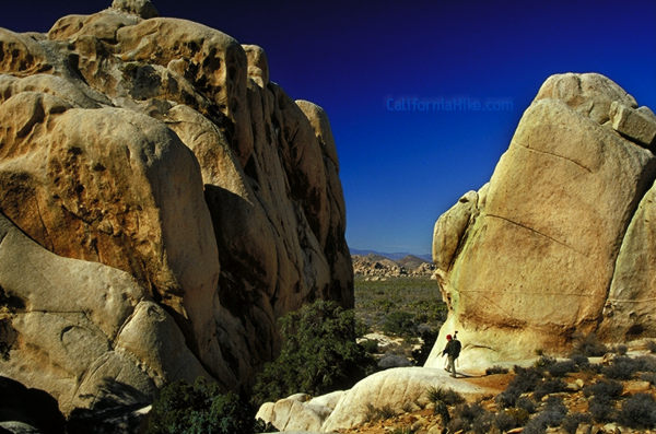 Rock Formations near the Ryan Mountain trailhead.