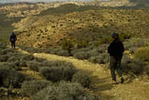 Descending Ryan Mtn.
