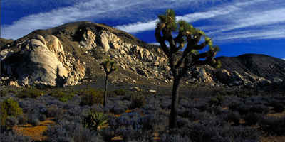 Ryan Mtn. as seen from the road approaching the Ryan Mtn. Trailhead.
