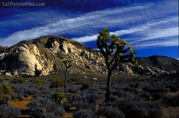 Ryan Mountain
