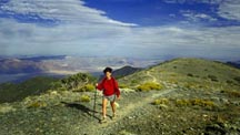 Trail Sumit, Wildrose Peak Trail